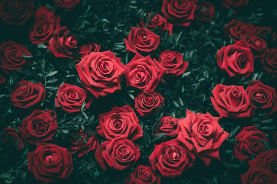Bouquet de roses de jardin aux tons poudrés